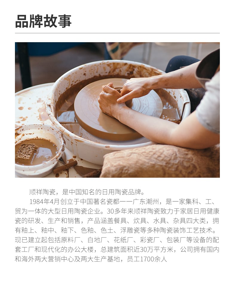 幻彩丹秋长方深盘_10