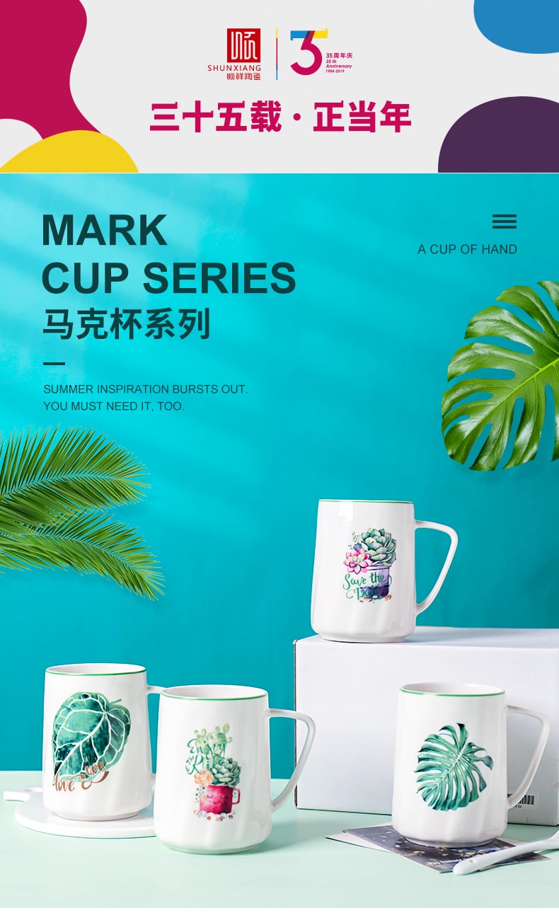 名仕口杯（多肉植物）_01