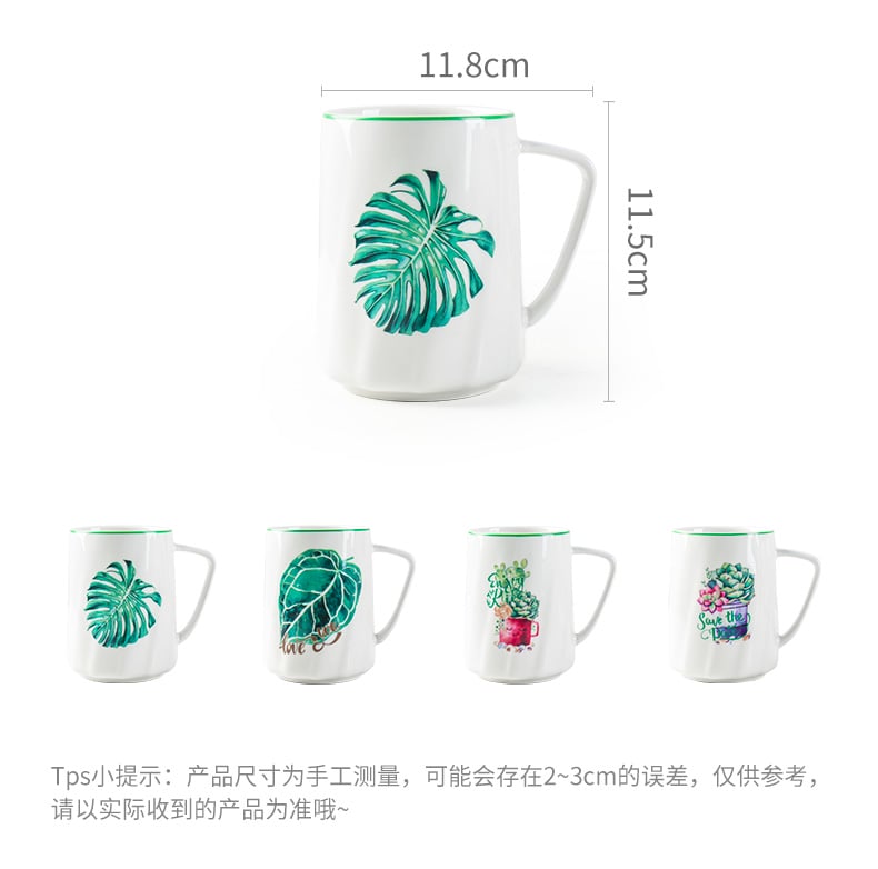 名仕口杯（多肉植物）_03