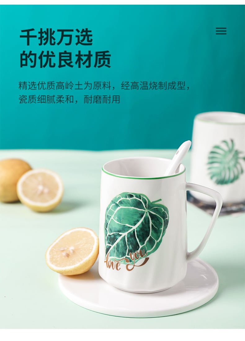名仕口杯（多肉植物）_09