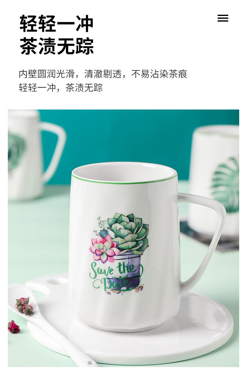 名仕口杯（多肉植物）_10