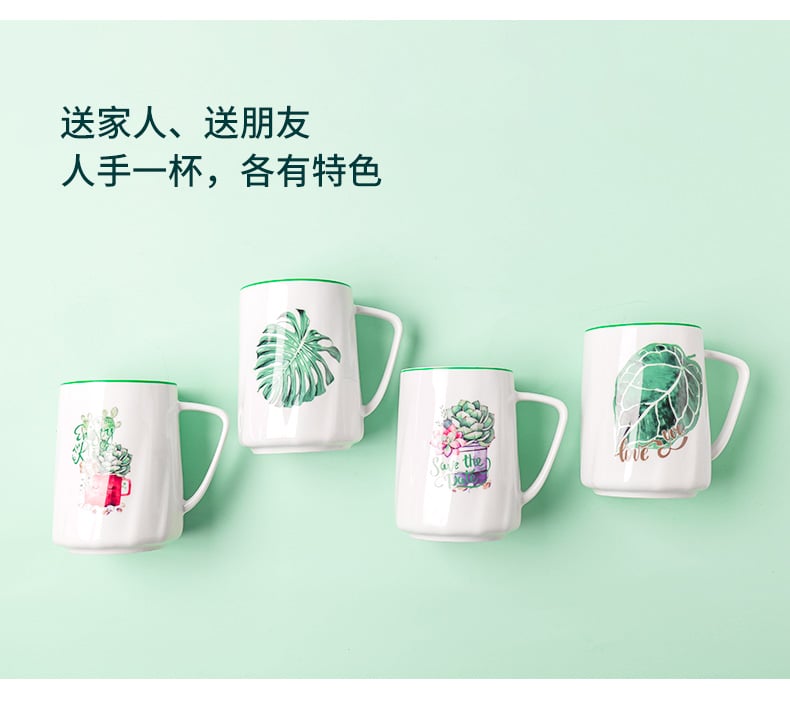 名仕口杯（多肉植物）_11